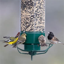 Load image into Gallery viewer, Squirrel Proof Bird Feeder
