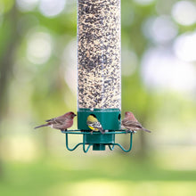 Load image into Gallery viewer, Squirrel Proof Bird Feeder