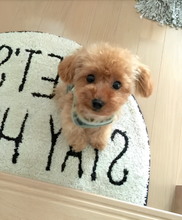 Load image into Gallery viewer, Realistic Teddy Dog Lucky