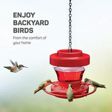 Load image into Gallery viewer, Hanging Bee Proof Hummingbird Water Feeders with Perch
