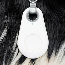 Load image into Gallery viewer, Pets Smart Waterproof GPS Tracker
